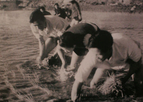 Nhớ anh “bám đội, lội đồng”